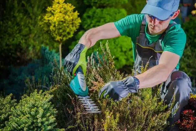 landscaping services Dubach
